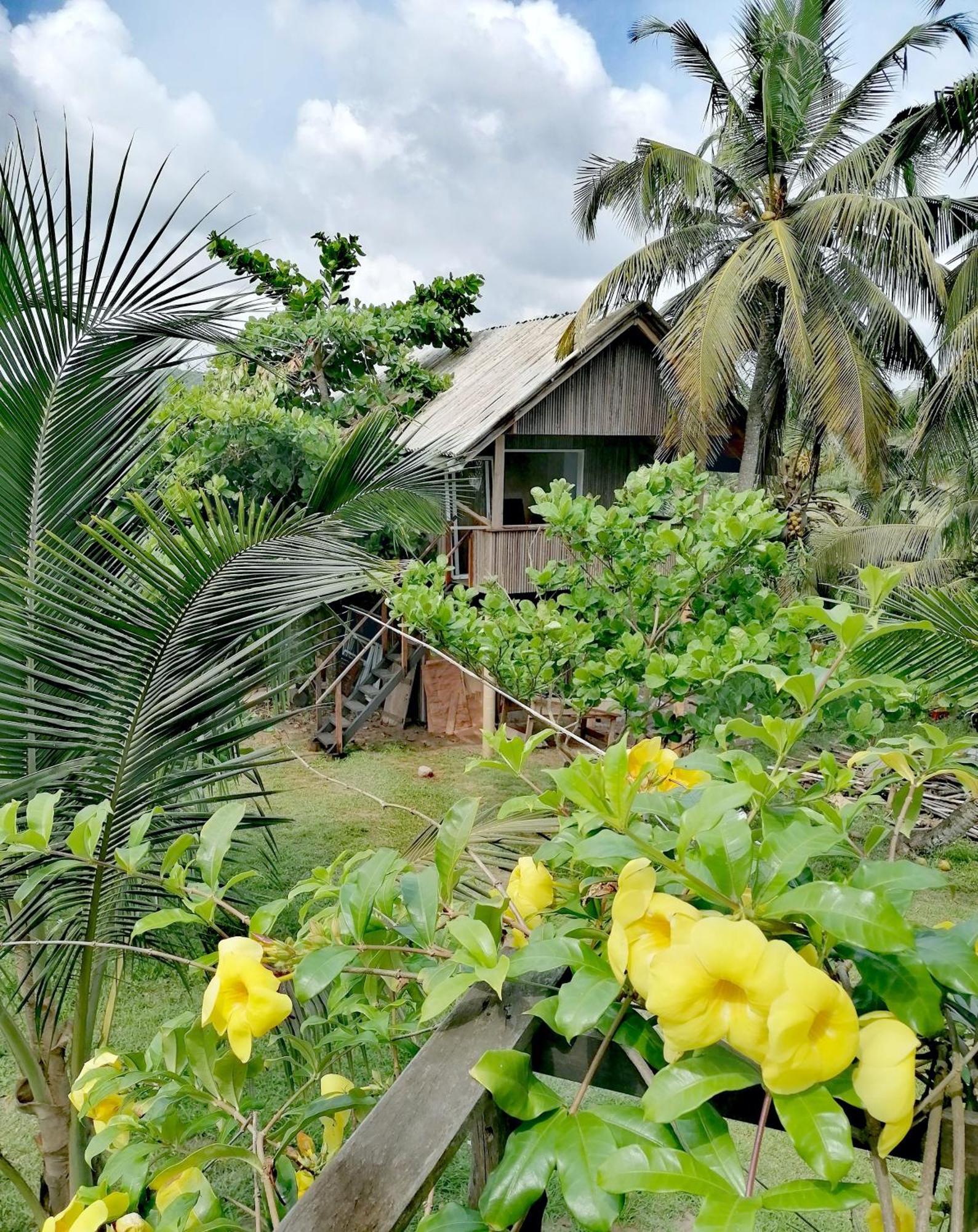 Afro Beach Eco Resort Butre Oda fotoğraf