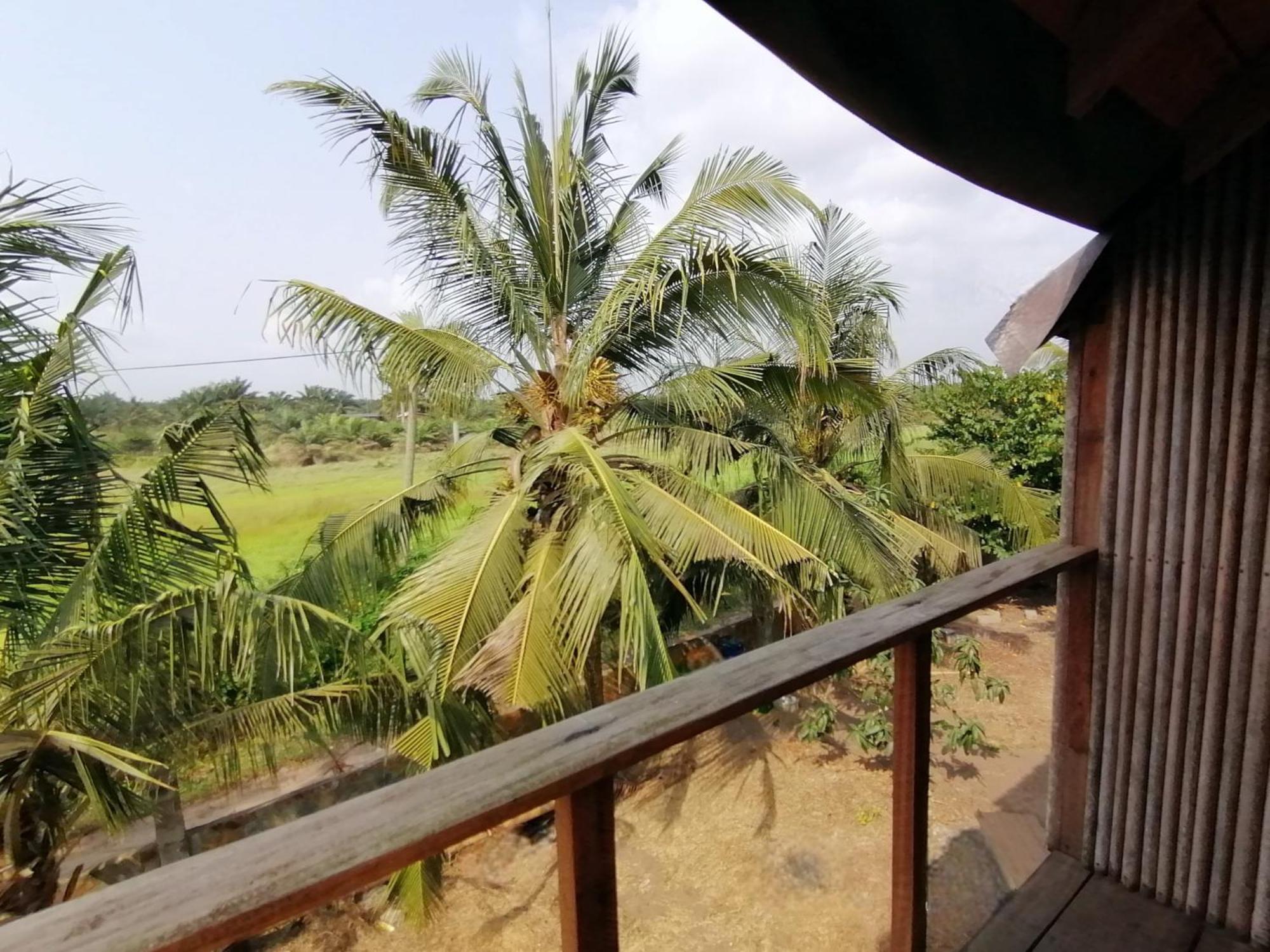 Afro Beach Eco Resort Butre Oda fotoğraf